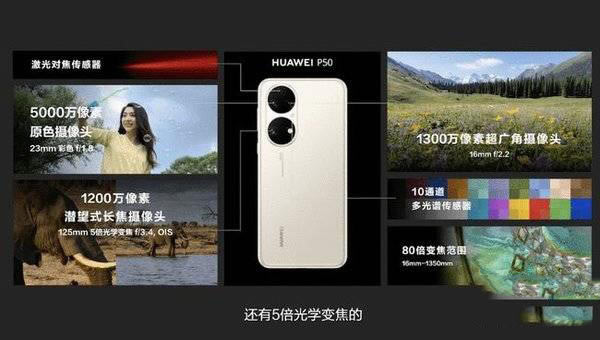 华为mate40pro和华为p50pro哪个好 华为mate40pro和华为p50pro区别对比_手机评测_本站