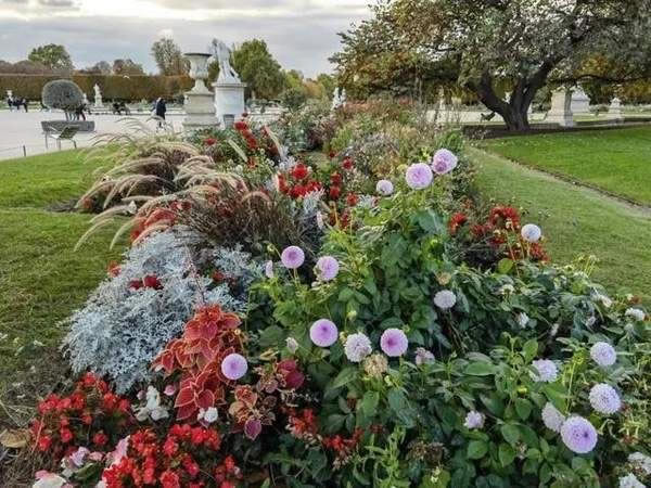 华为mate40pro和p40pro哪款拍照好 两款手机拍照效果对比_手机评测_手机学院_本站