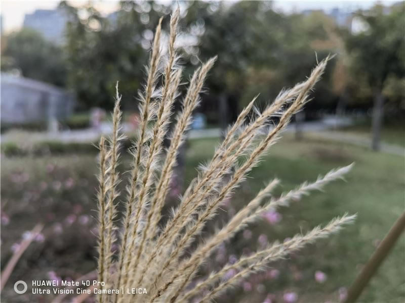 华为Mate40 Pro好用吗 华为Mate40 Pro使用体验_手机评测_手机学院_本站