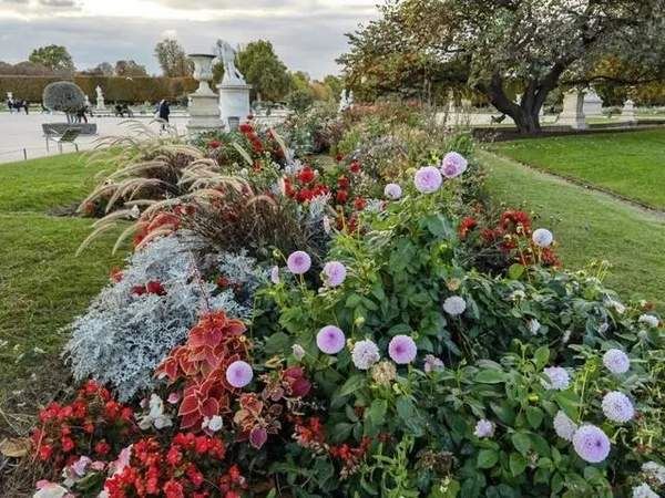 华为mate40pro和p40pro哪款拍照好 两款手机拍照效果对比_手机评测_手机学院_本站