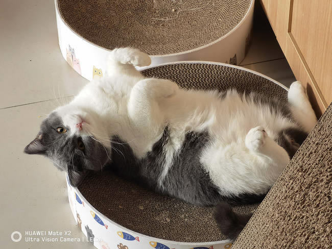 华为Mate X2体验怎样 华为Mate X2体验评测