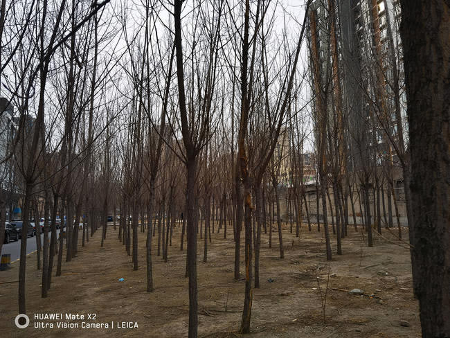 ��ΪMate X2������� ��ΪMate X2��������_�ֻ�����_�ֻ�ѧԺ_��վ