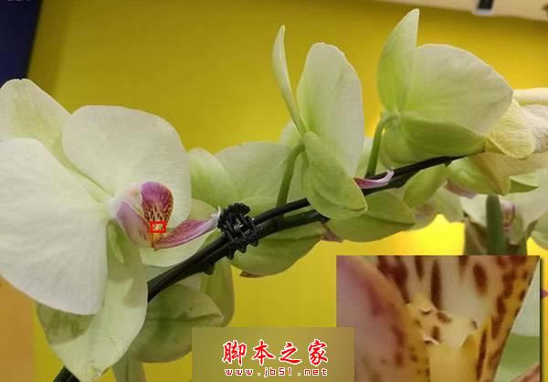 华为Mate8和华为Mate7哪个好 华为Mate7和华为Mate8全方位对比评测_手机评测_手机学院_本站