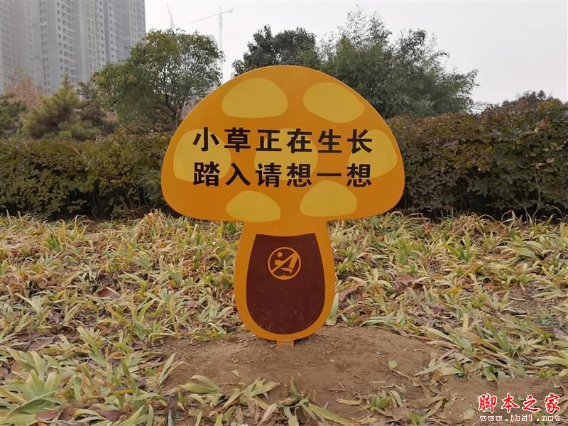 华为mate9pro拍照怎么样?华为mate9pro拍照样张全面评测_安卓手机_手机学院_本站