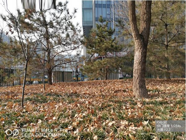 华为Mate9 Pro和华为P9拍照哪个好?华为Mate9 Pro和华为P9拍照对比评测_手机评测_手机学院_本站