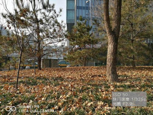 华为Mate9 Pro和华为P9拍照哪个好?华为Mate9 Pro和华为P9拍照对比评测_手机评测_手机学院_本站