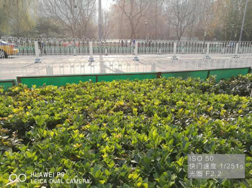 华为Mate9 Pro和华为P9拍照哪个好?华为Mate9 Pro和华为P9拍照对比评测_手机评测_手机学院_本站