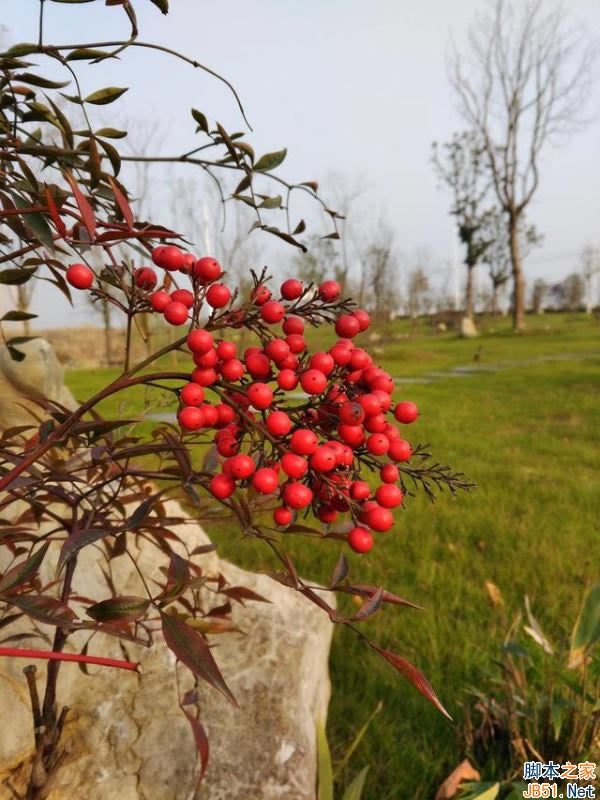 ΪMate97MAXĸã7MAXͻΪMate9ȫԱ_ֻ_ֻѧԺ_վ