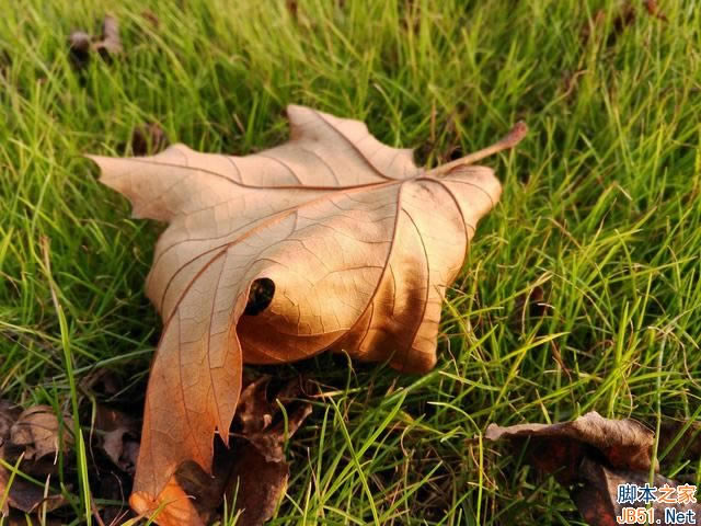 ΪMate97MAXĸã7MAXͻΪMate9ȫԱ_ֻ_ֻѧԺ_վ