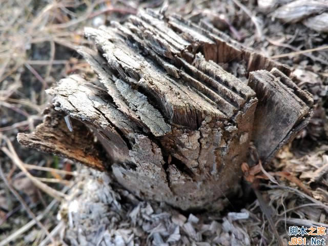 ΪMate97MAXĸã7MAXͻΪMate9ȫԱ_ֻ_ֻѧԺ_վ