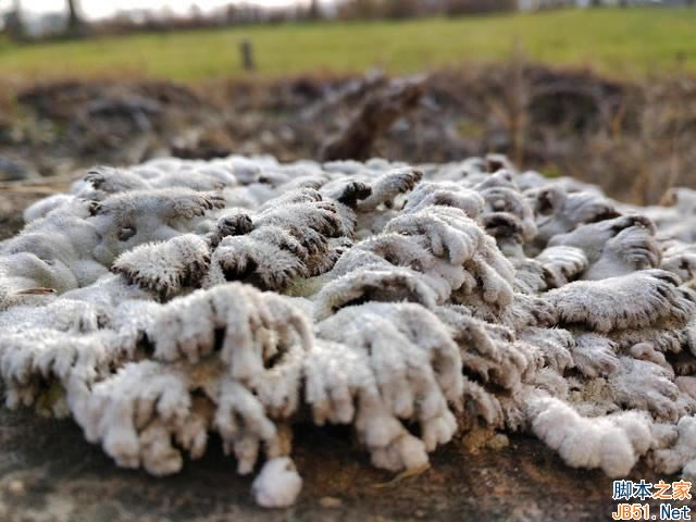 ΪMate97MAXĸã7MAXͻΪMate9ȫԱ_ֻ_ֻѧԺ_վ