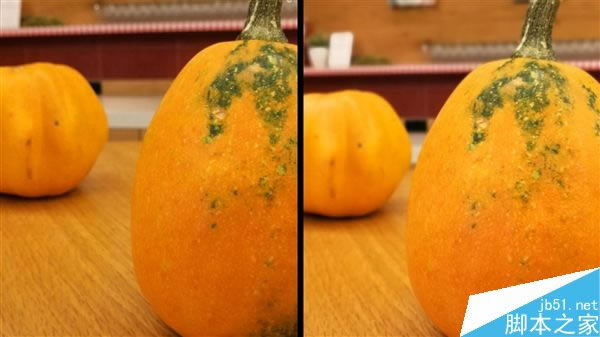 谁的表现更好?华为Mate 9拍照对比iPhone 7 Plus_手机评测_手机学院_本站