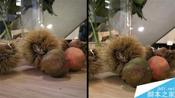 谁的表现更好?华为Mate 9拍照对比iPhone 7 Plus_手机评测_手机学院_本站