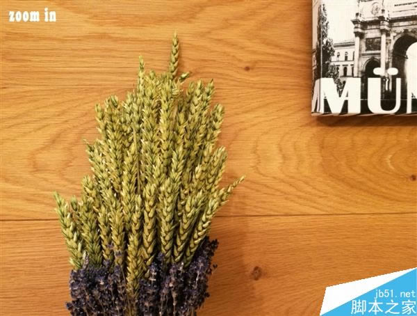 谁的表现更好?华为Mate 9拍照对比iPhone 7 Plus_手机评测_手机学院_本站