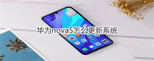 华为nova5怎样更新系统?