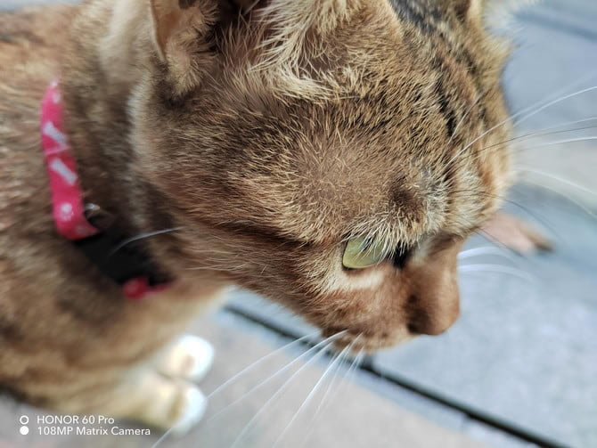 ��ҫ60Pro�ò��� ��ҫ60Pro��ϸ����_�ֻ�����_�ֻ�ѧԺ_��վ