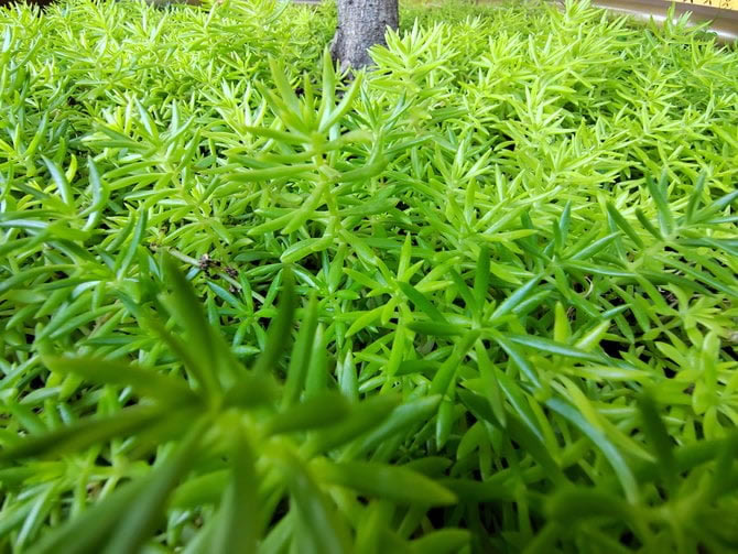 ��ҫ60Pro�ò��� ��ҫ60Pro��ϸ����_�ֻ�����_�ֻ�ѧԺ_��վ