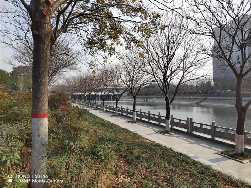 ��ҫ60Pro�ò����� ��ҫ60Proʹ������_�ֻ�����_�ֻ�ѧԺ_��վ