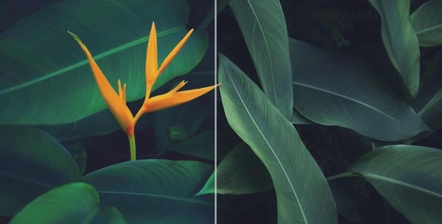 ҫMagic4 Proֻȫ  ȫ ȫ콢_ֻ_ֻѧԺ_վ