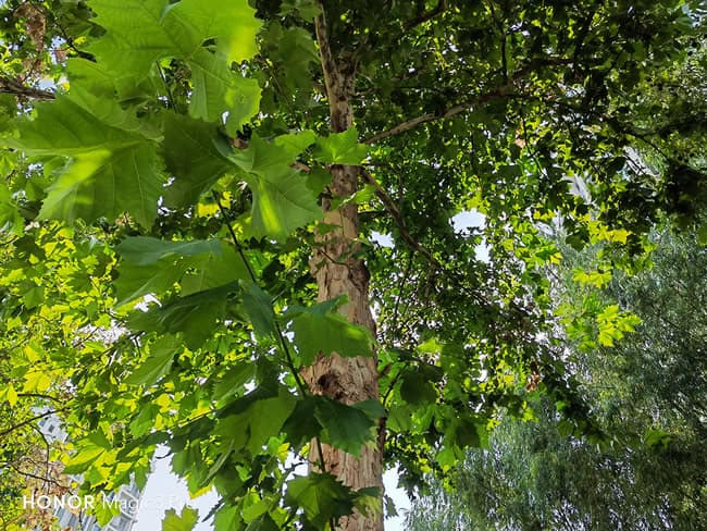 荣耀Magic3 Pro值得入手吗  荣耀Magic3 Pro详细评测_手机评测_本站