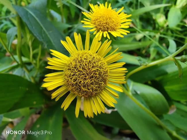 荣耀Magic3 Pro值得入手吗  荣耀Magic3 Pro详细评测_手机评测_本站