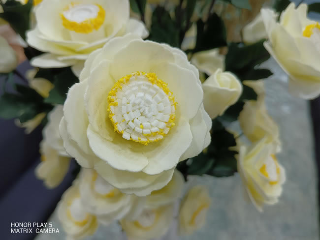 ҫPlay5ֵ ҫPlay5_ֻ_ֻѧԺ_վ