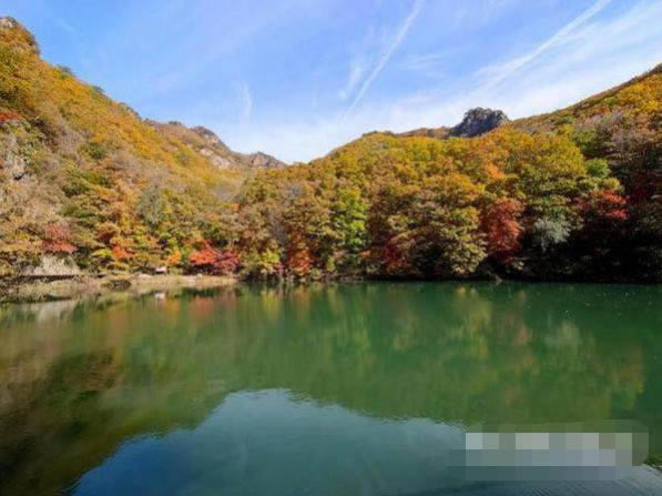 荣耀Play5活力版拍照怎么样?荣耀Play5活力版拍照功能详细介绍_安卓手机_手机学院_本站