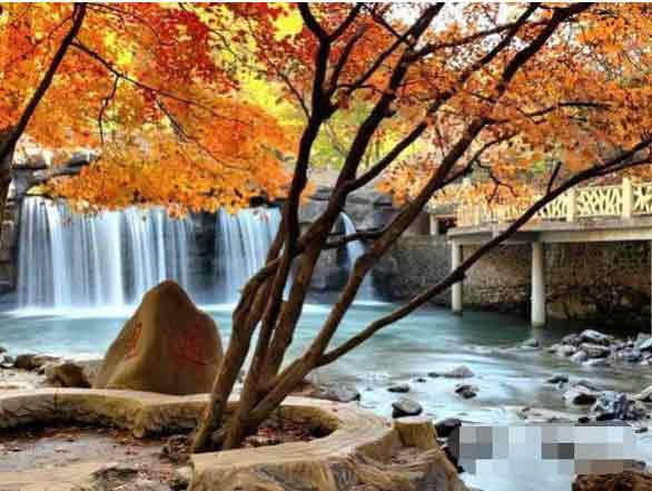 荣耀Play5活力版拍照怎么样?荣耀Play5活力版拍照功能详细介绍_安卓手机_手机学院_本站