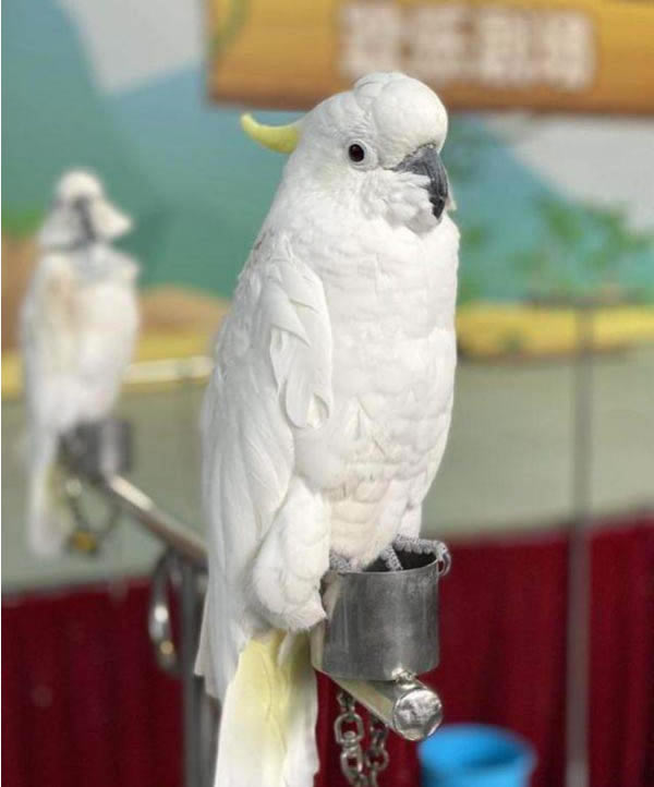 荣耀Play5活力版拍照怎么样?荣耀Play5活力版拍照功能详细介绍_安卓手机_手机学院_本站