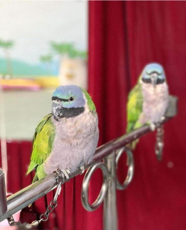 ҫPlay5ô?ҫPlay5չϸ_׿ֻ_ֻѧԺ_վ