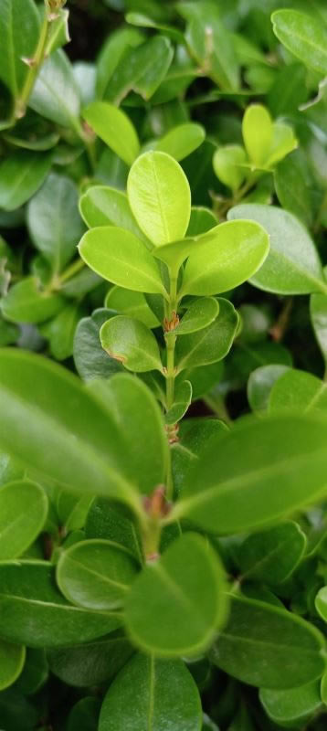 ҫPlay5T Proò ҫPlay5T Proֲ_ֻ_ֻѧԺ_վ