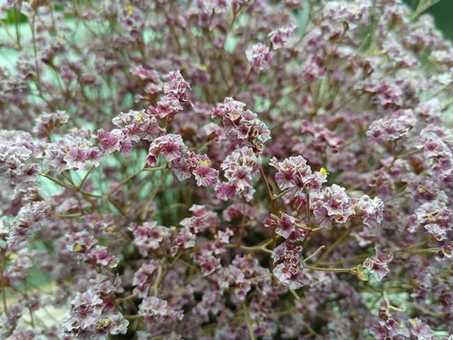 ҫPlay5T Proֵ ҫPlay5T Pro_ֻ_ֻѧԺ_վ