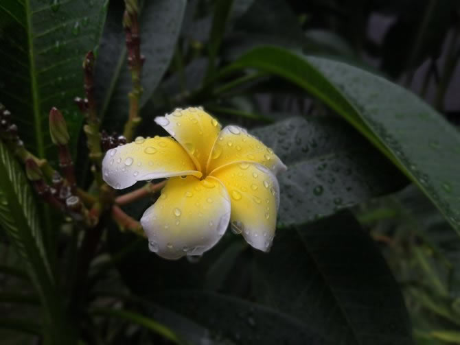 荣耀Play值得买吗 荣耀Play全面详细评测_手机评测_手机学院_本站