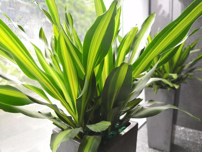 荣耀Play值得买吗 荣耀Play全面详细评测_手机评测_手机学院_本站