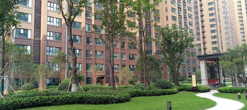 荣耀Play5T Pro好不好用 荣耀Play5T Pro上手测评_手机评测_手机学院_本站