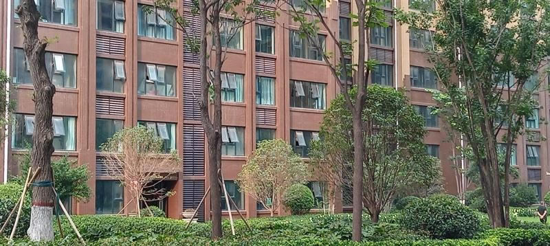 荣耀Play5T Pro好不好用 荣耀Play5T Pro上手测评_手机评测_手机学院_本站