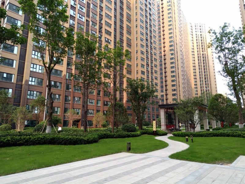 荣耀Play5T Pro好不好用 荣耀Play5T Pro上手测评_手机评测_手机学院_本站