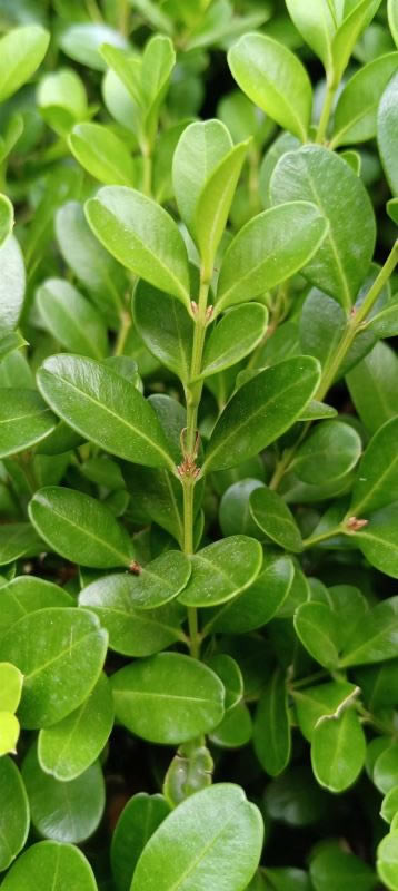 荣耀Play5T Pro好不好用 荣耀Play5T Pro上手测评_手机评测_手机学院_本站