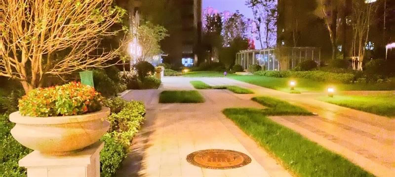 荣耀Play5T Pro好不好用 荣耀Play5T Pro上手测评_手机评测_手机学院_本站