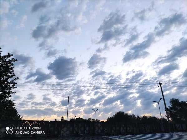 荣耀X10和小米10青春版哪个值得入手?荣耀X10对比小米10青春版评测_手机评测_手机学院_本站