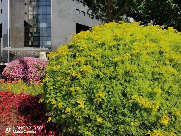 荣耀X10和红米K30Pro拍照哪个好 荣耀X10和红米K30Pro对比介绍_手机评测_手机学院_本站