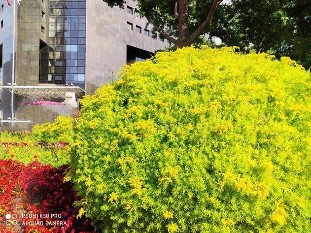 荣耀X10和红米K30Pro拍照哪个好 荣耀X10和红米K30Pro对比介绍_手机评测_手机学院_本站