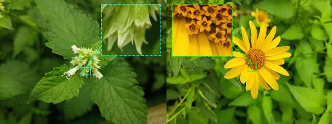 荣耀X20 SE值得入手吗 荣耀X20 SE详细评测_手机评测_手机学院_本站