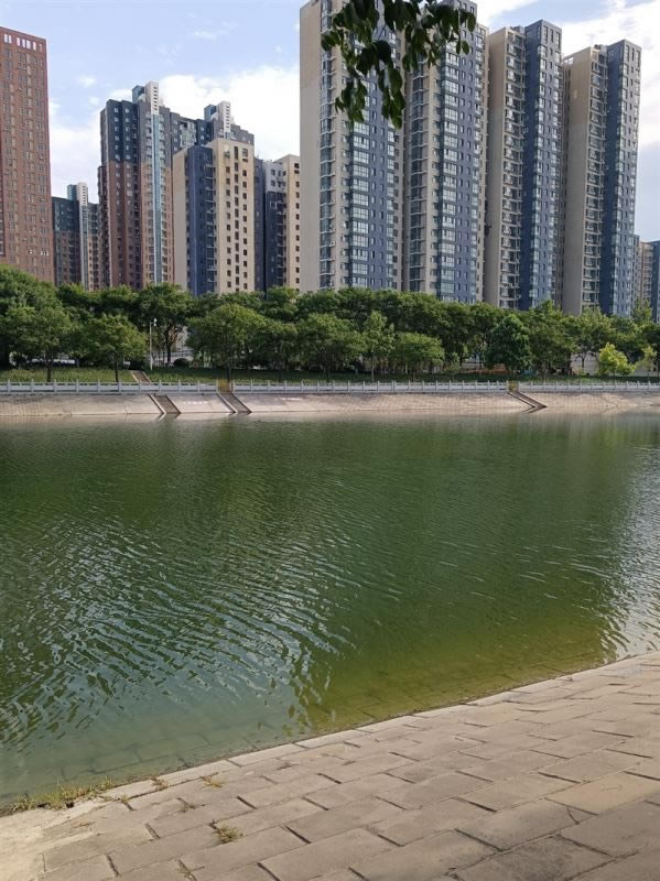 荣耀X20 SE值得买吗 荣耀X20 SE手机全方位评测_手机评测_手机学院_本站