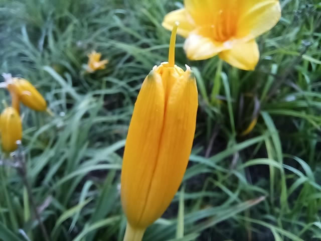 ��ҫX20���⣺��խ�߿�+66W������� ������ 