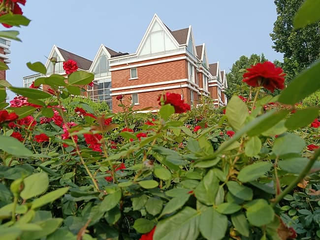 荣耀X20体验怎么样 荣耀X20体验评测_手机评测_手机学院_本站