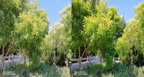 ��ҫ20�ֻ�ֵ�������� ��ҫ20�ֻ�ʹ�����鼰����_�ֻ�����_�ֻ�ѧԺ_��վ