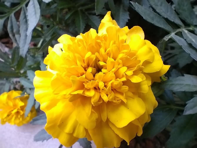 ��ҫX30��ô�� ��ҫX30ȫ������_�ֻ�����_�ֻ�ѧԺ_��վ