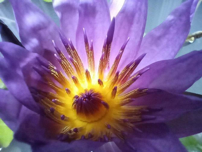 ��ҫX30i������ô�� ��ҫX30i��ϸ����_�ֻ�����_��վ