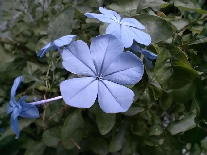 ��ҫX30��ô�� ��ҫX30ȫ������_�ֻ�����_�ֻ�ѧԺ_��վ